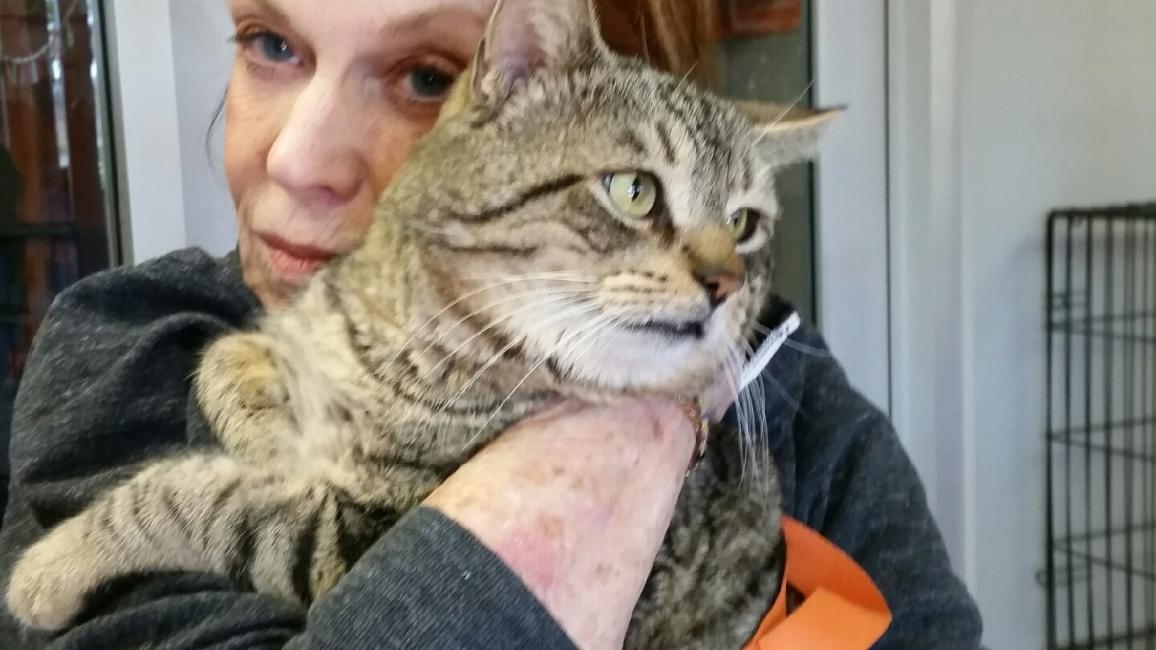 L.A. volunteer Connie snuggling a cat