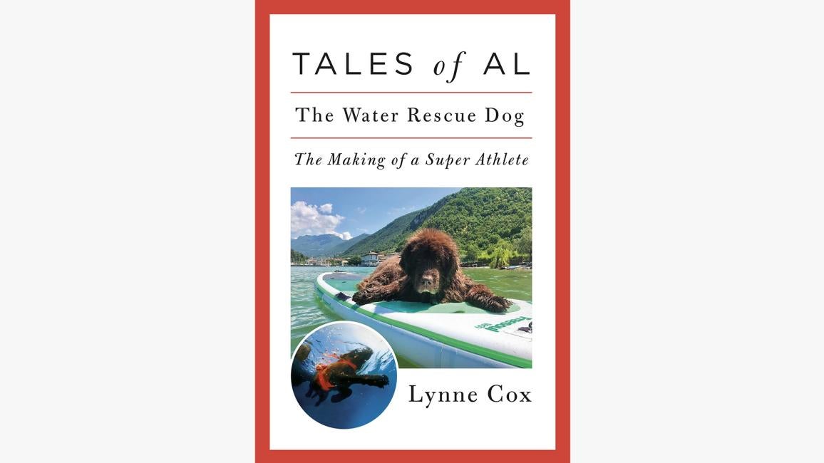 Cover of the book, "Tales of Al"