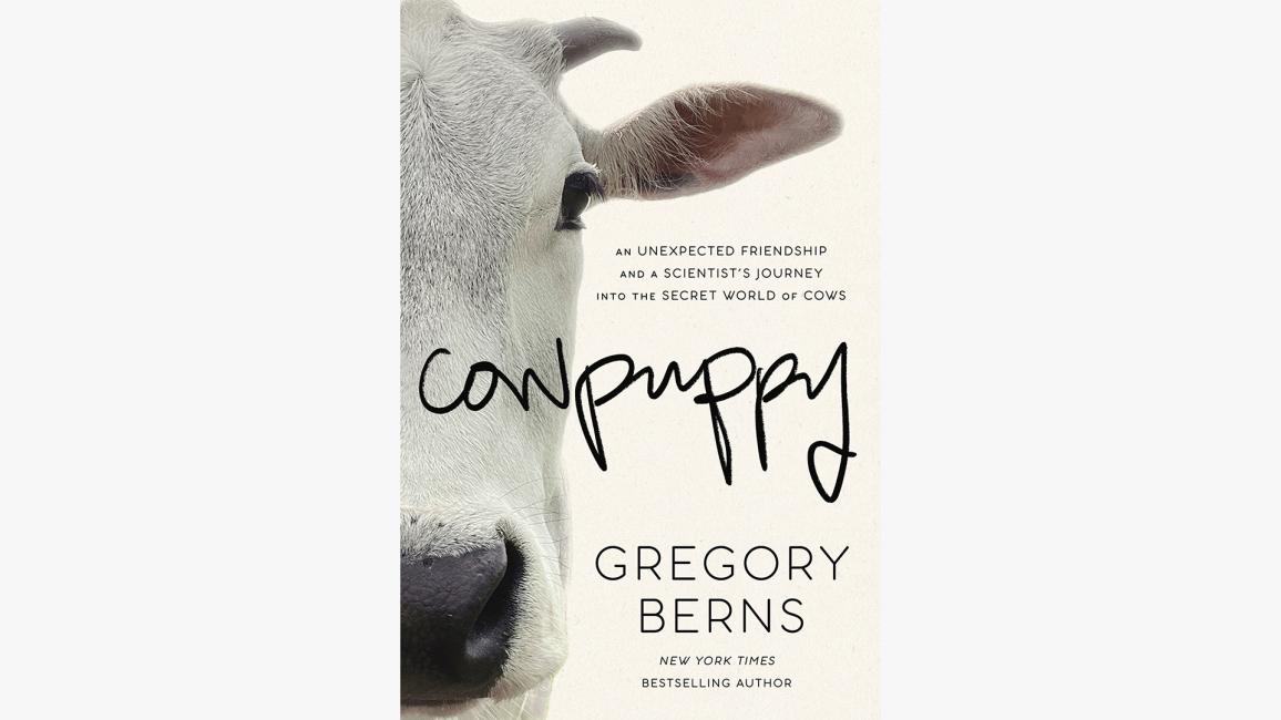 Cover of the book, "Cowpuppy: An Unexpected Friendship and a Scientist’s Journey into the Secret World of Cows"