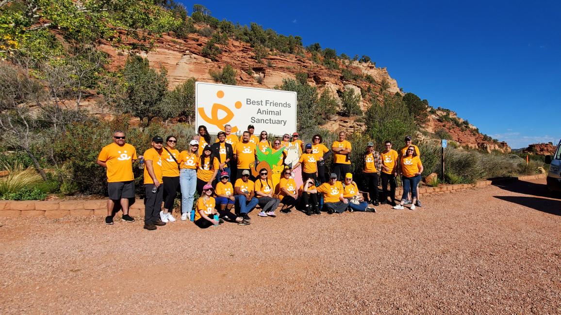 Credit One volunteers in front of the Best Friends Animal Sanctuary sign