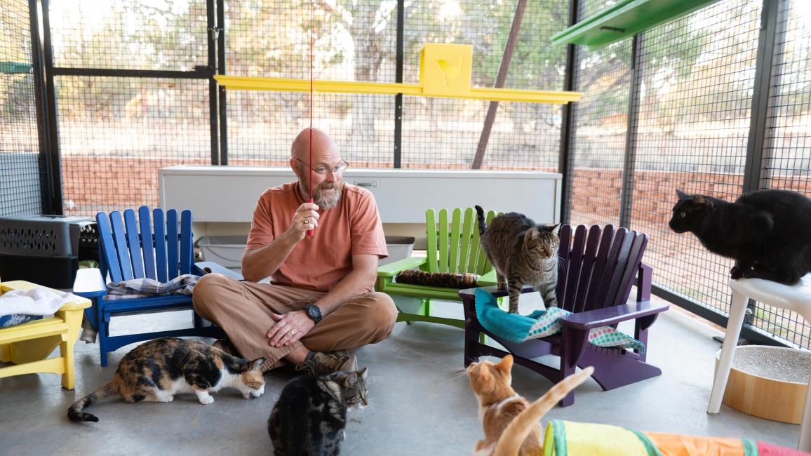 Curtis McIff sitting in a catio playing with a wand toy with cats and his hand-crafted chairs