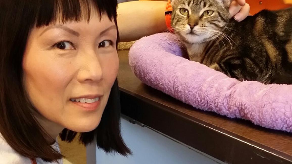 Volunteer Darlene with a cat