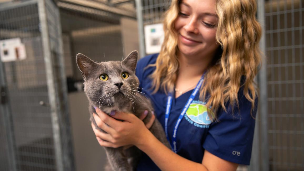 Smiling person looking at a cat they're holding in animal shelter setting