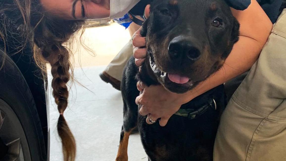 Smiling woman hugging a dog