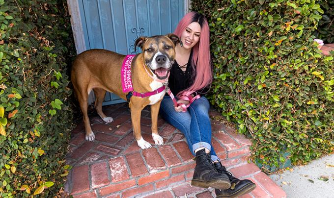 Senior Dog Roxanne Inspired to adopt senior dog | Best Friends Animal Society