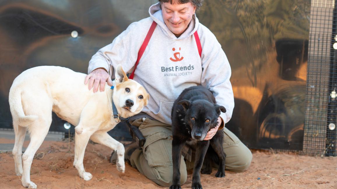 Elton and Hannah the dogs next to Tom, a Dogtown caregiver