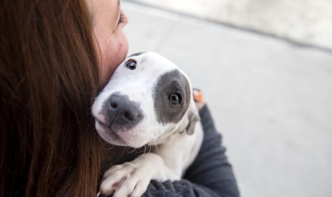 Person hugging a puppy over her shoulder