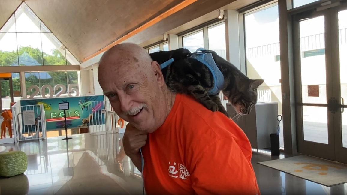 Eeyore the cat in a harness on the back of Allen Burkhart, who adopted him