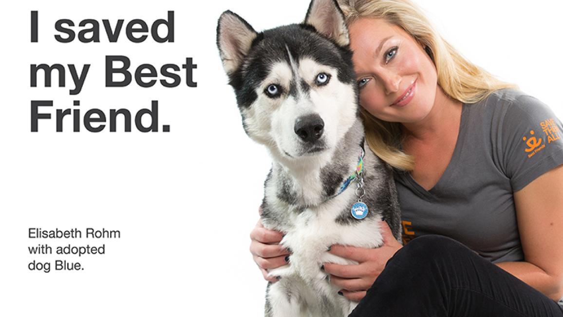 Elisabeth Rohm and husky dog