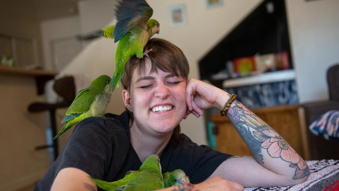Smiling person surrounded by baby Quaker parrots, including one on her head