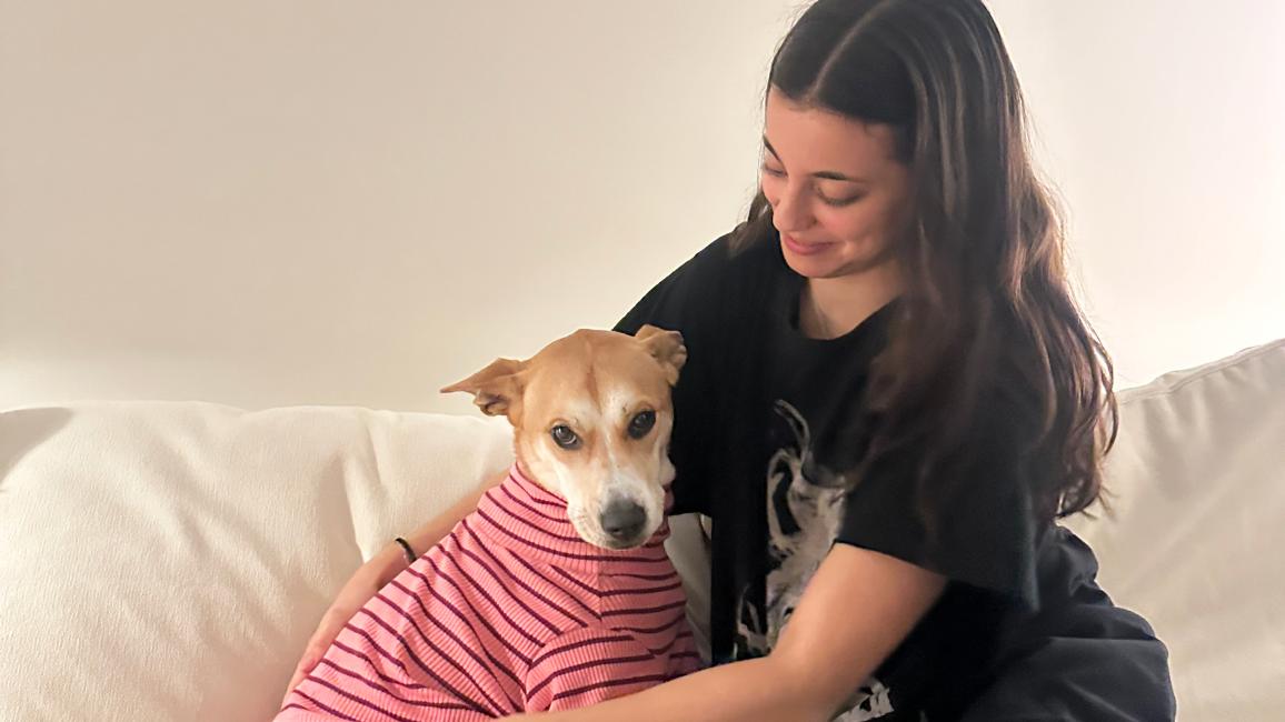 Eloise the dog wearing a striped T-shirt being hugged by Lauren