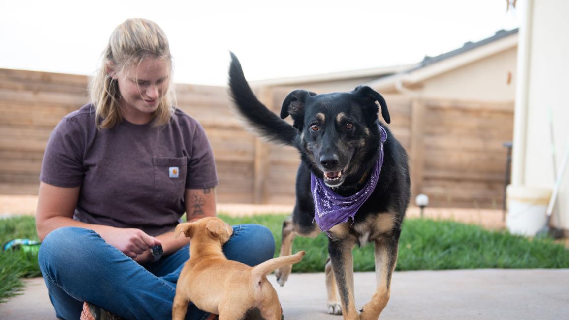 Emma Odekirk sitting on the ground with Valley the dog and a small brown puppy