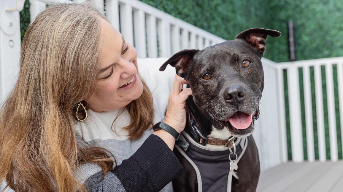 Captain the dog next to Jill Shaw, who is looking at him, smiling and petting him