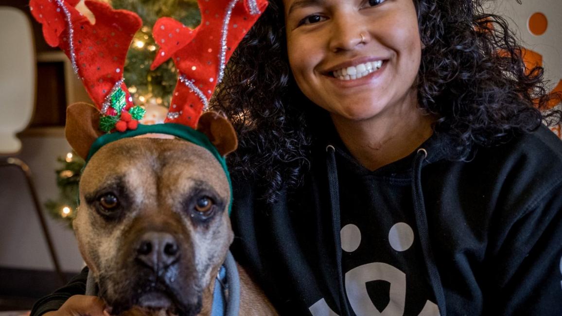 Share Your Home for the Holidays...Fa-la-la-la-foster a Pet From Best Friends LA