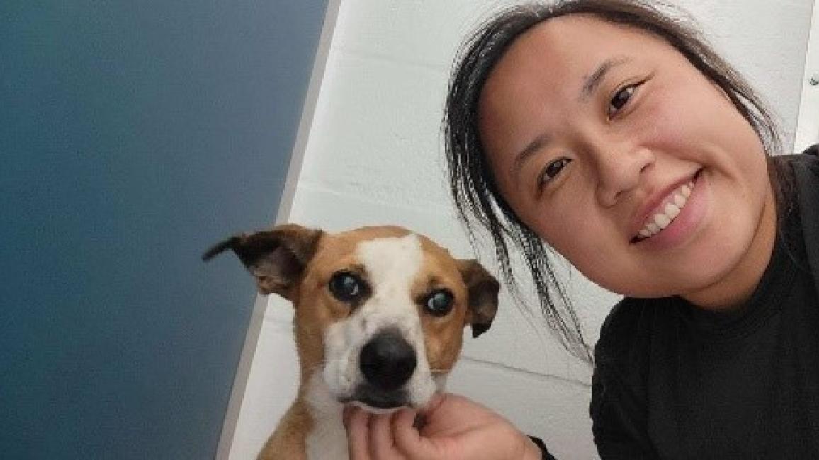 Smiling person scratching the chin of a brown and white dog