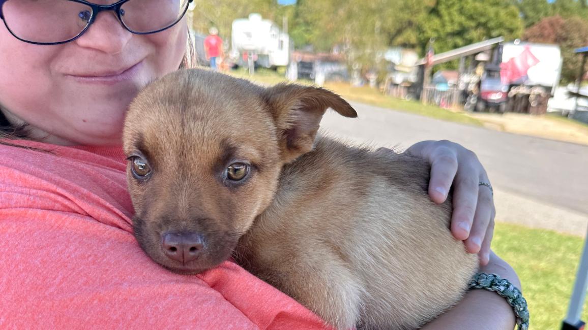 Person standing outside holding a puppy