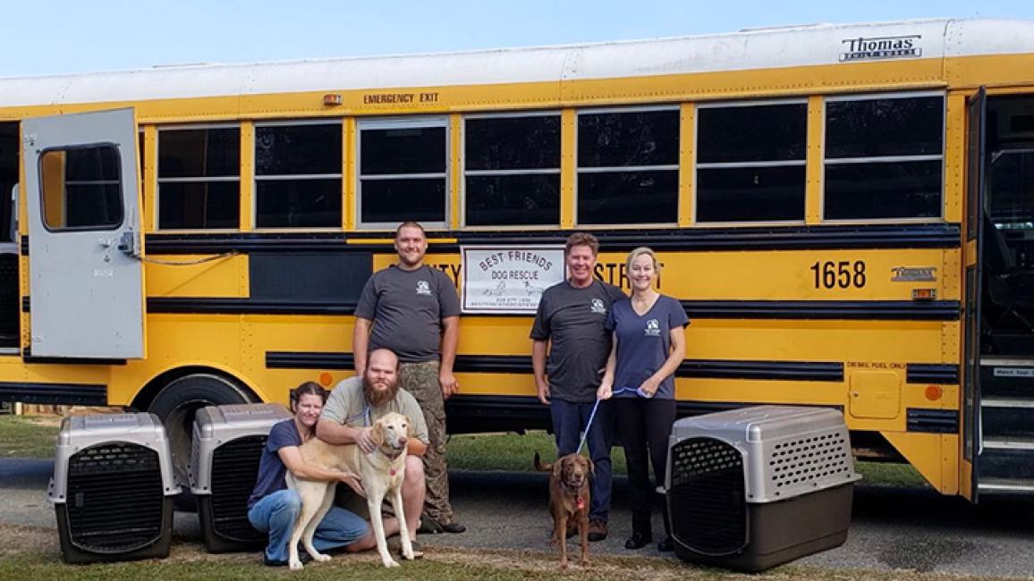 People, a dog and kennels beside a yellow school bus used to transport animals