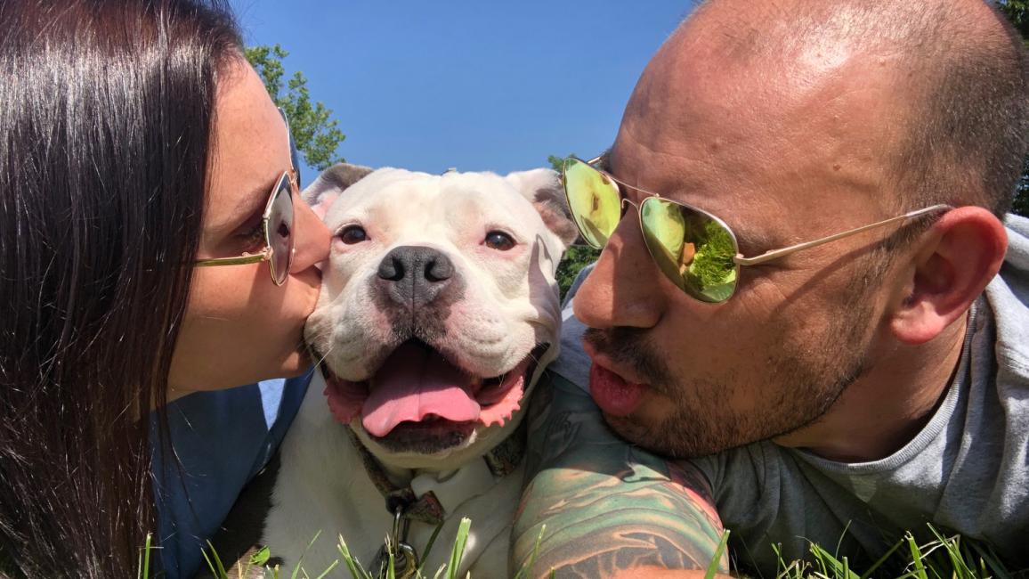 Poptart the dog lying down on grass and getting kisses from people on either side