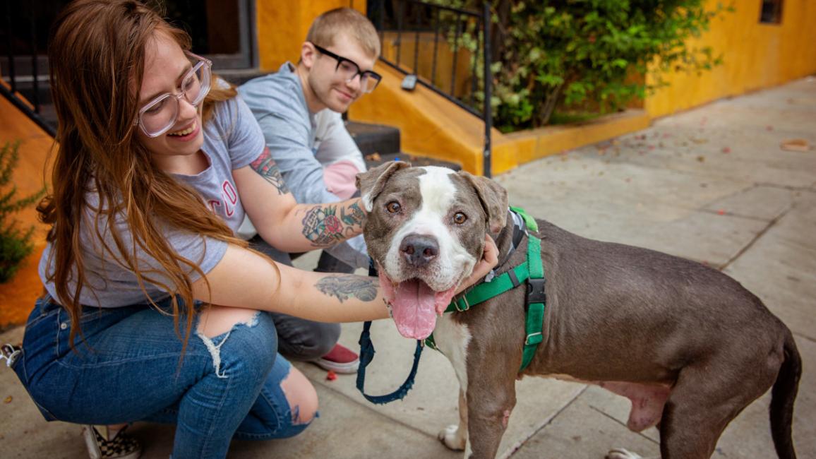 Two people outside an apartment with a large dog who is smiling with her tongue out