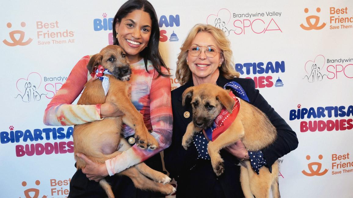 Two people holding puppies in front of a backdrop