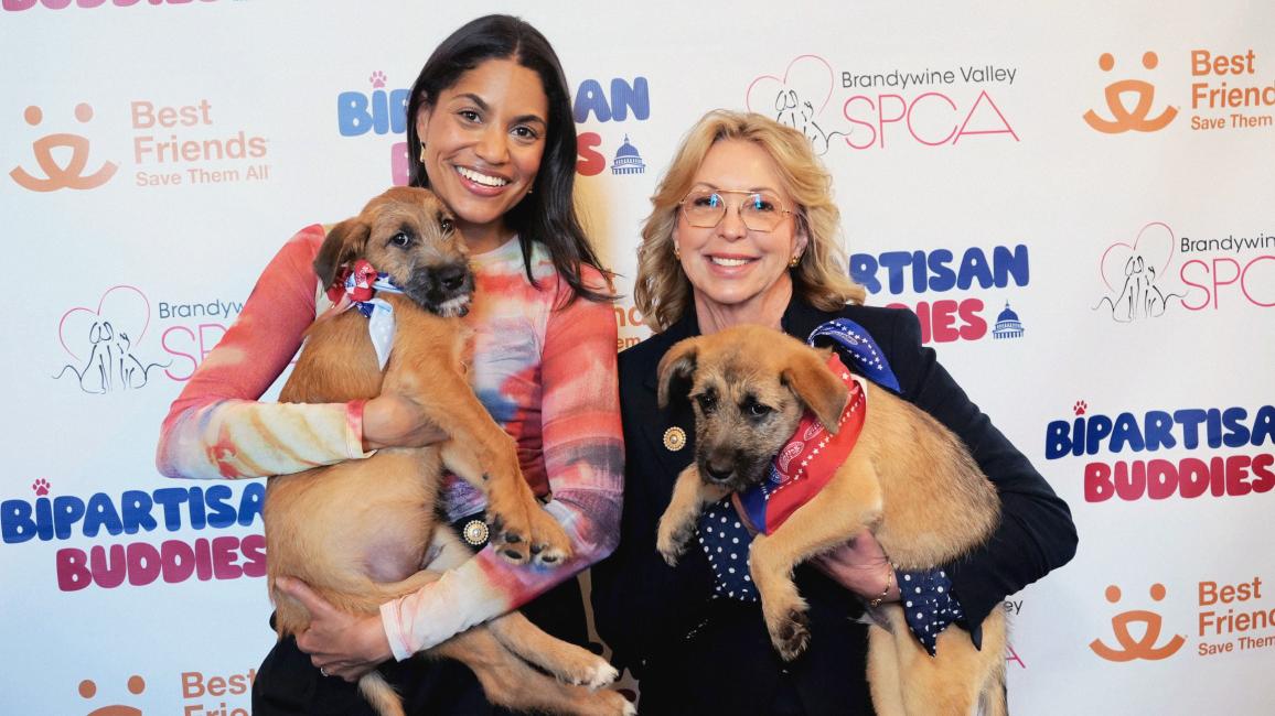Two people holding puppies in front of a backdrop