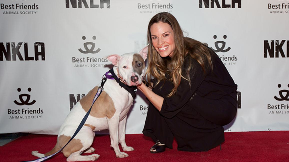 Hilary Swank, a supporter of Best Friends Animal Society, and pitbull at NKLA event