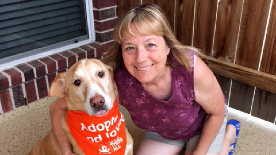 Fergus the dog with an adoption bandanna next to a smiling person