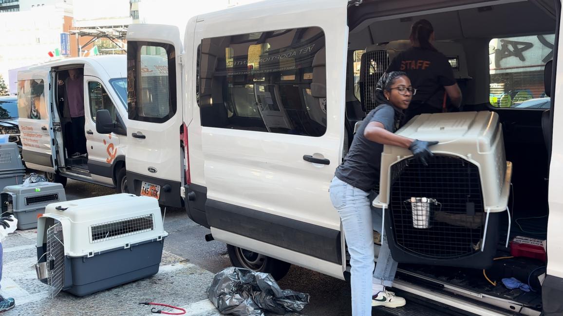 Person removing a large crate from a transport van
