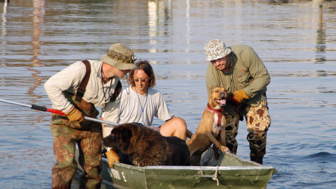 Three people rescuing two dogs in a boat
