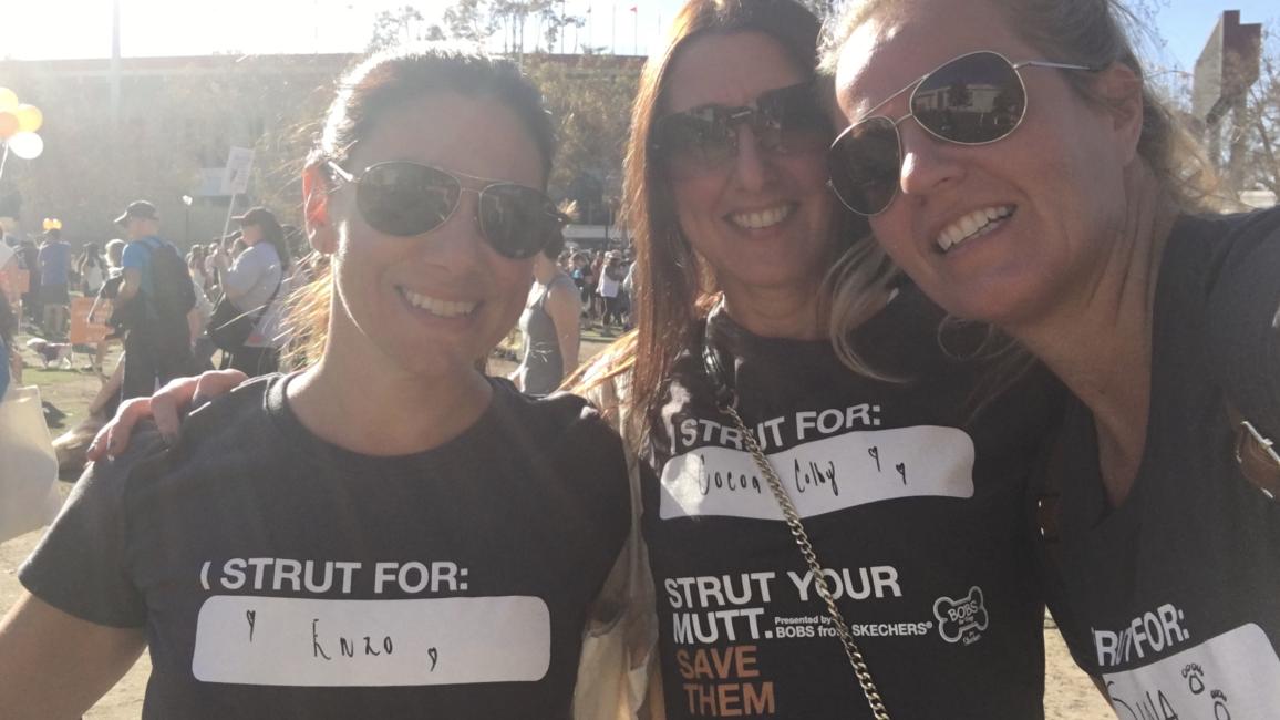 Petroula and other Best Friends in LA volunteers