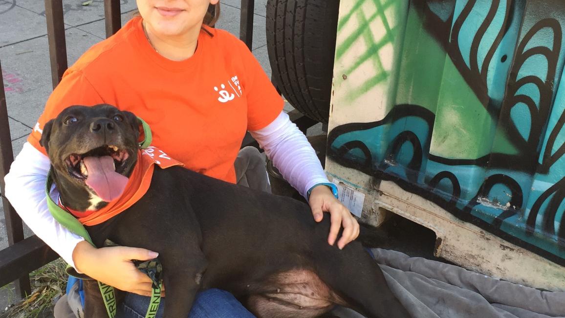 Volunteer Stephanie N. with her dog