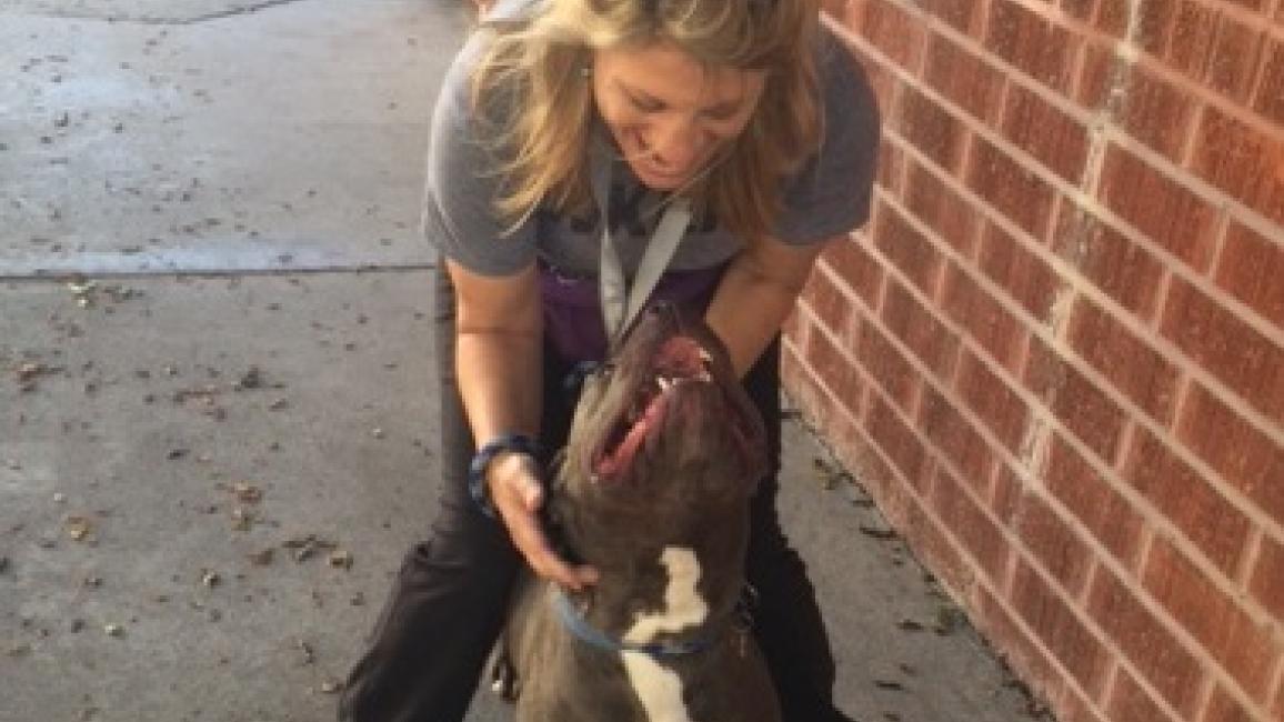 Eve Karasik with a pit bull terrier