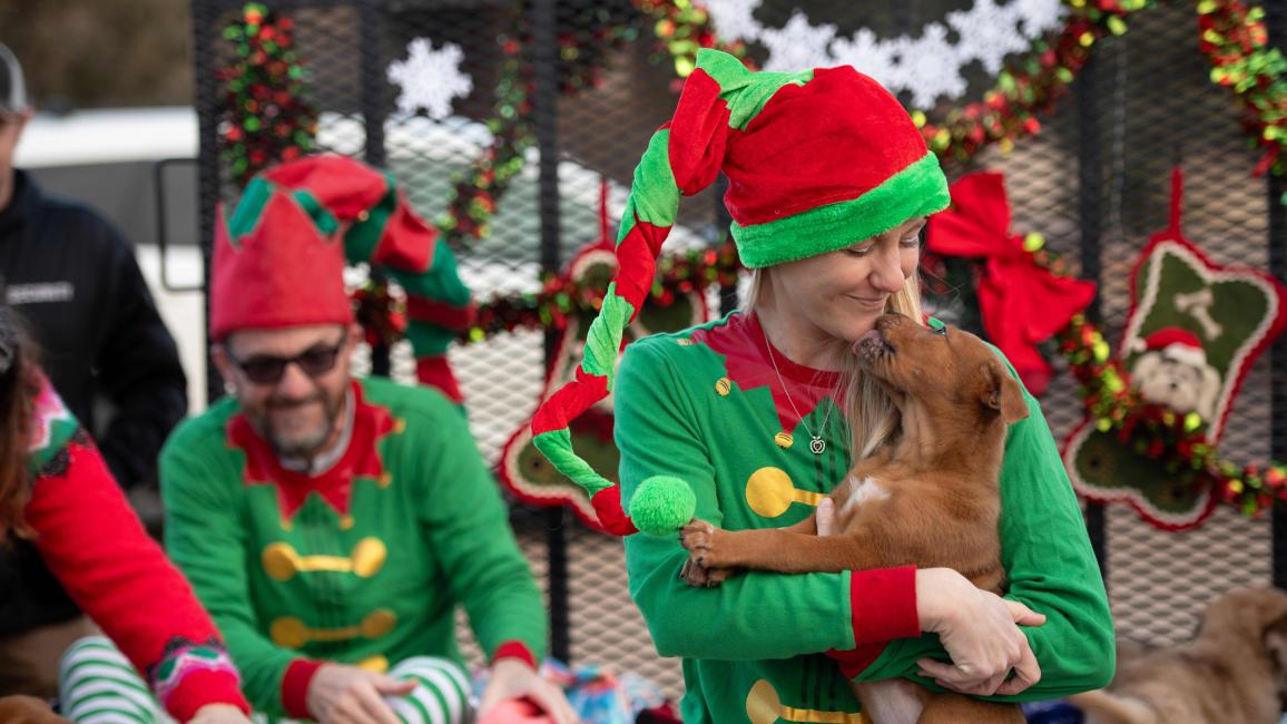 Person wearing an elf outfit holding a puppy who is licking her face, beside the pile of toys 