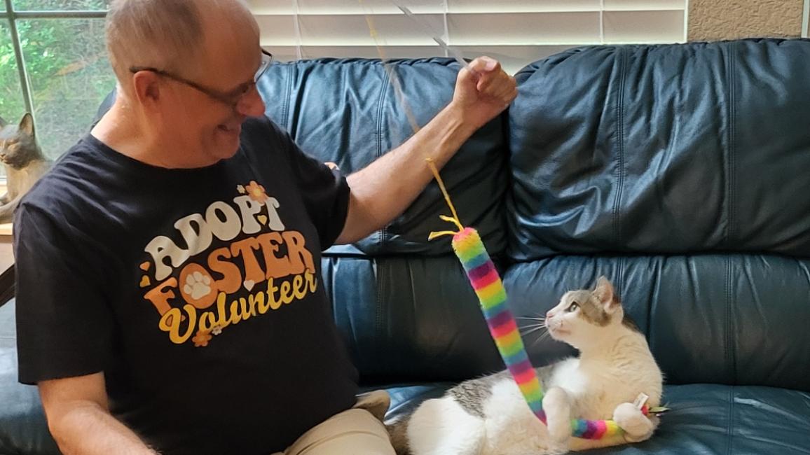 Mike Butchello playing with a wand toy with Buddy the cat
