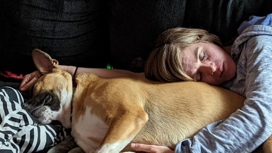 Person sleeping beside Bailey the bulldog