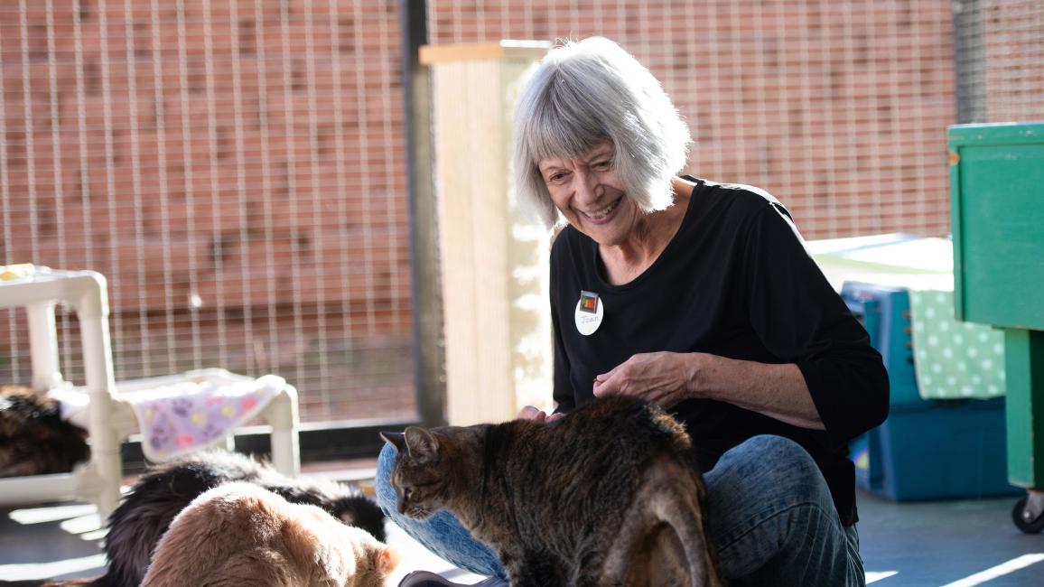 Joan Evans interacting with cats in Cat World