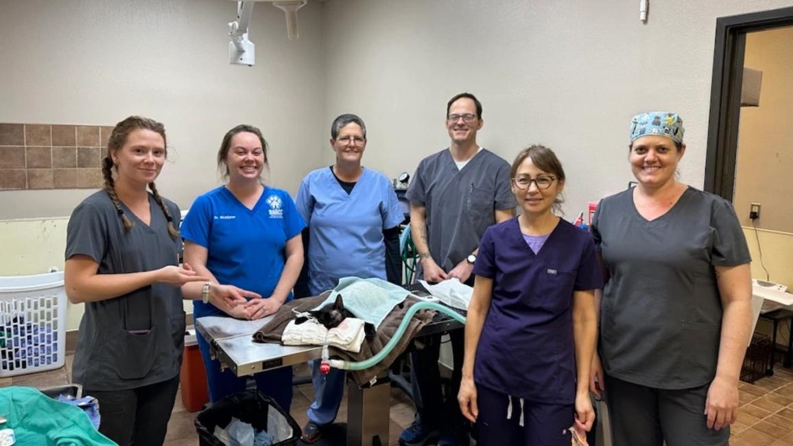 The six people of the surgical team for the Brownsville spay-neuter-a-thon around a surgical table with a sedated black cat