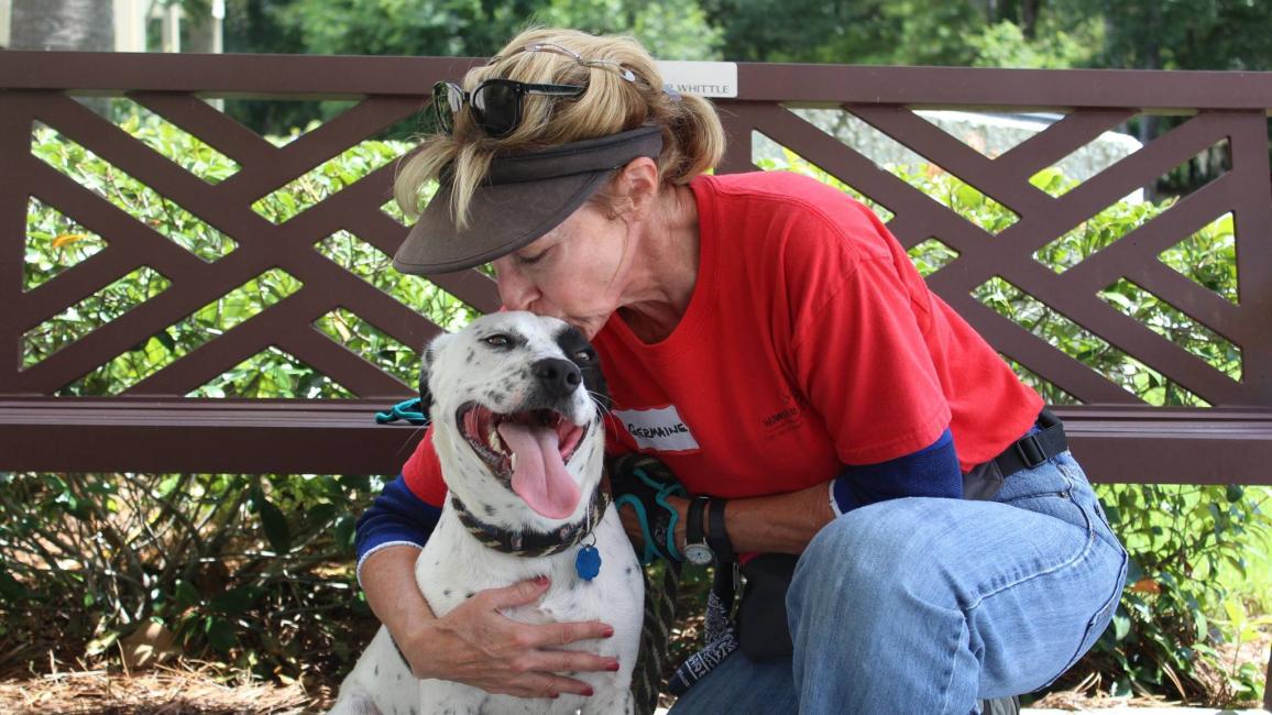 Dog gets some love at the Humane Society of South Coastal Georgia