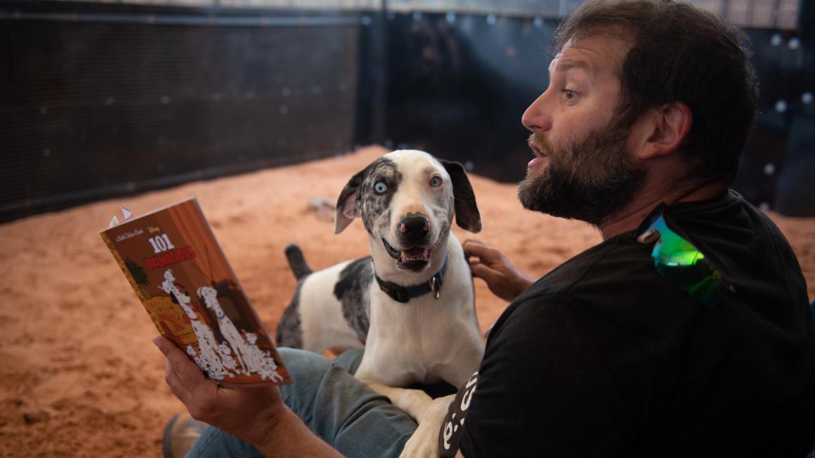 Frankie the dog in the lap of a person who is reading "101 Dalmatians" to him