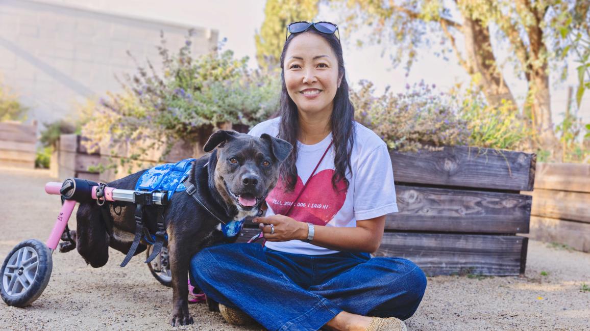 Kody the dog in her wheelchair next to Ranko Fukuda