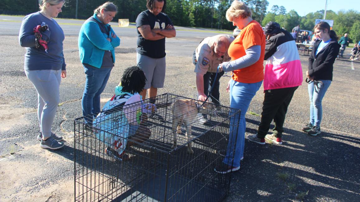 Group of people surrounding a dog outside a wire crate