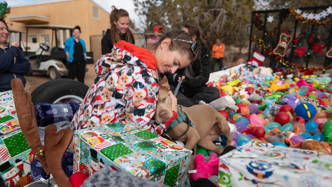 Person wearing pajamas hugging a dog in a trailer full of dog toys