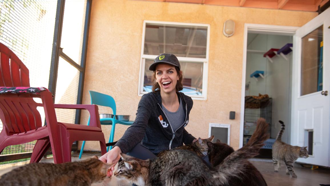 Katy Bentz in a room in Cat World