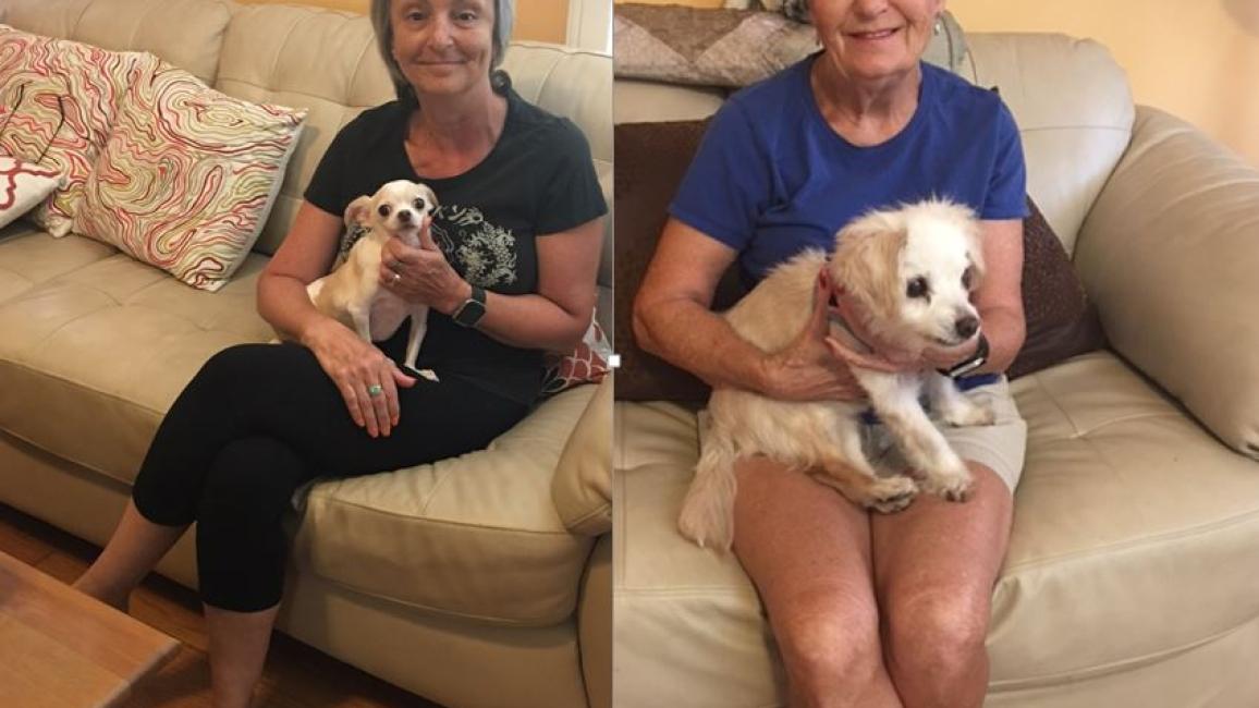 Volunteer Kim & Evelyn with two small dogs
