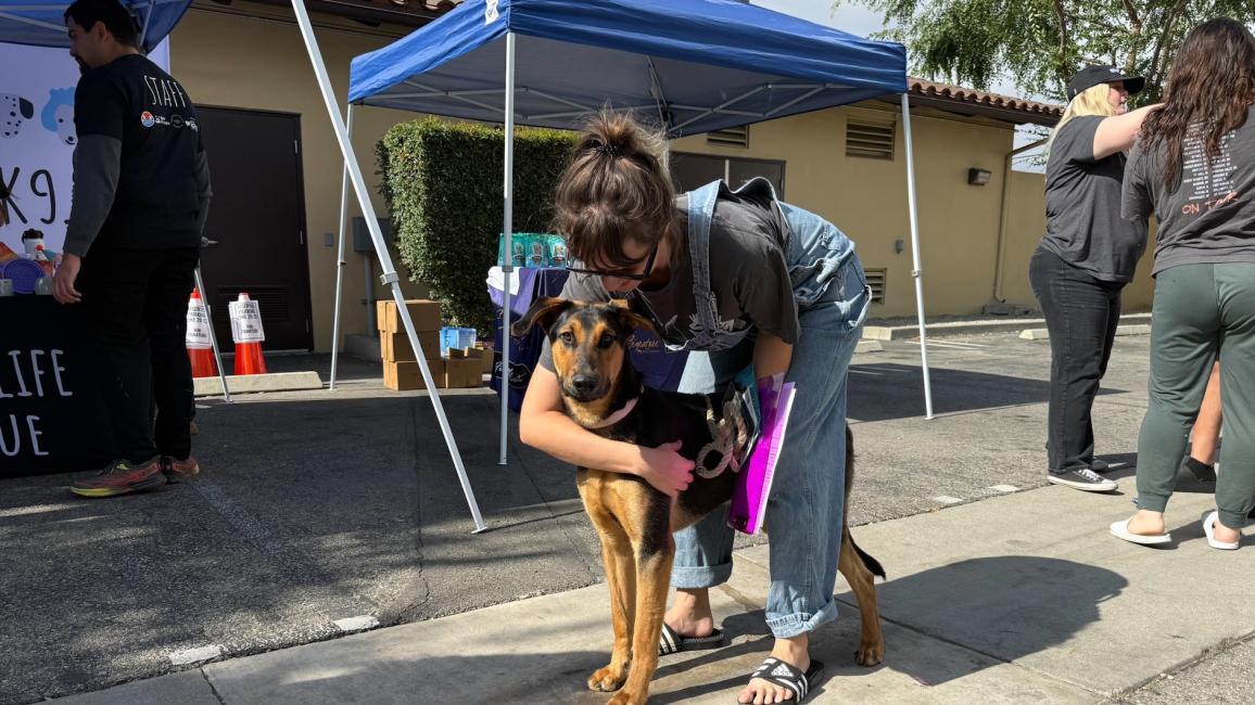 Person hugging a black and brown dog beside a shade canopy at the dog spay/neuter event