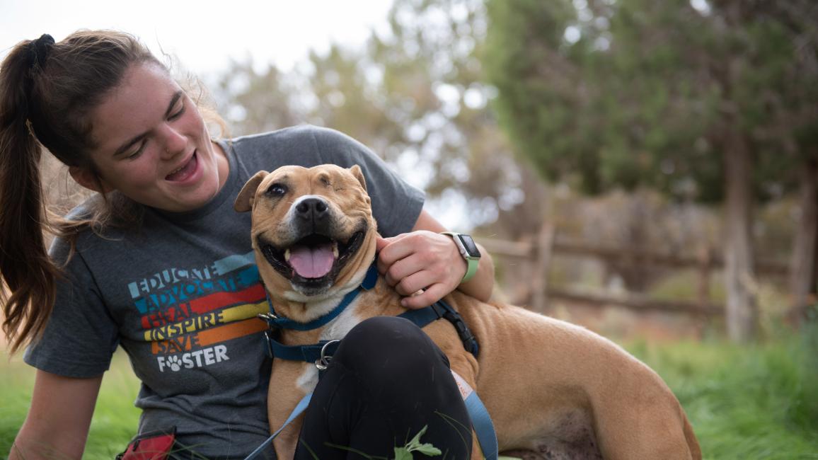 Norberta the dog smiling alongside a person
