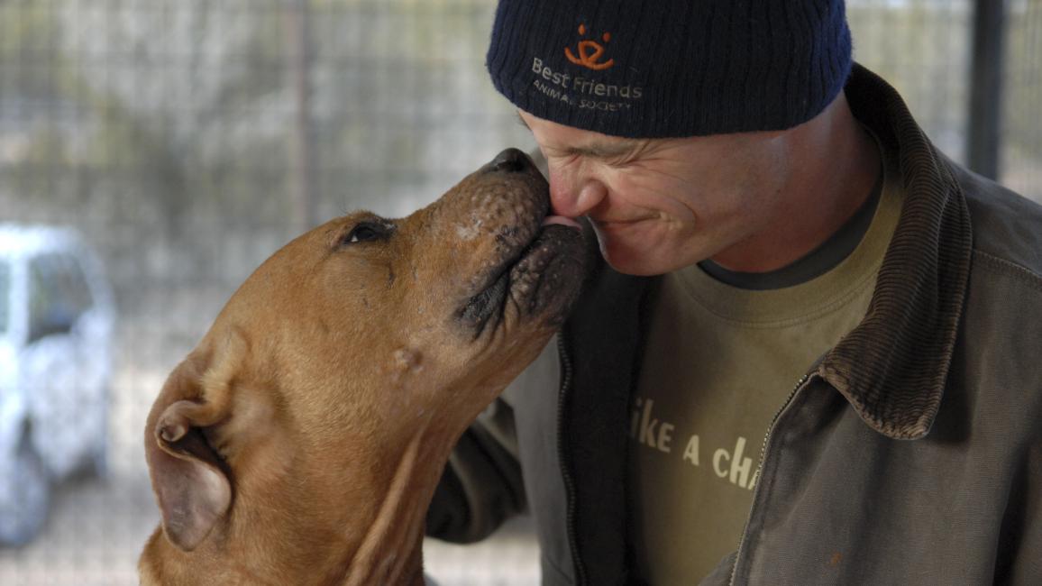 The last surviving 'Vicktory dog' | Best Friends Animal Society