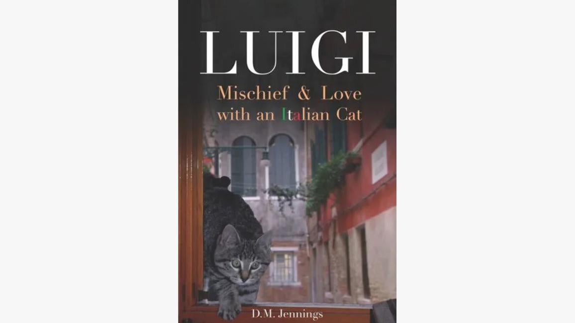 "Luigi" book cover