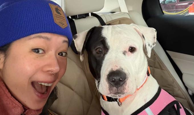 Maggie the dog with her adopter in a vehicle