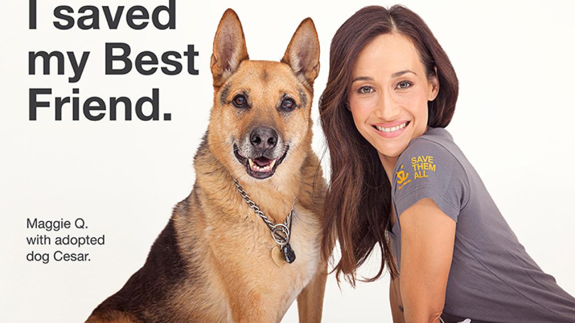 Maggie Q and her adopted dog